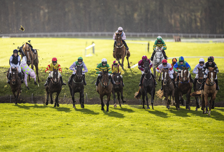 Punchestown 